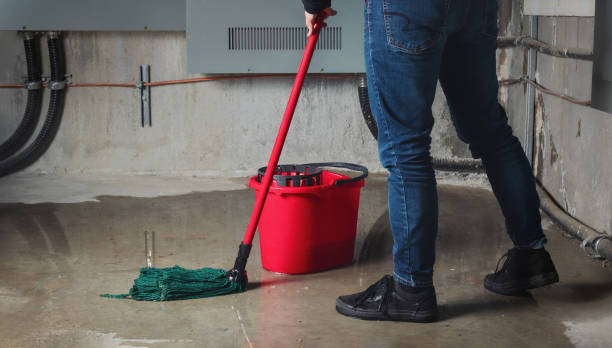Best Basement water damage restoration  in Centerville, UT