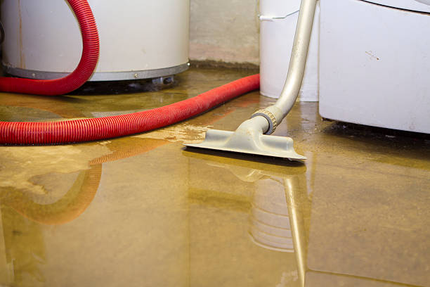 Best Mold removal after water damage  in Centerville, UT