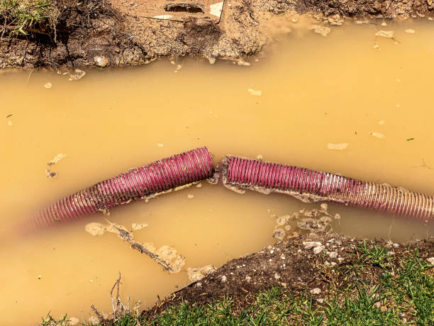 Water damage restoration experts in UT